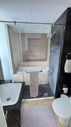 Residences @ Evelyn (D11), Condominium #537474651